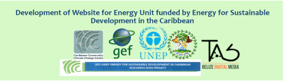 Development of a website for the Energy Unit funded by Energ ... Image 1